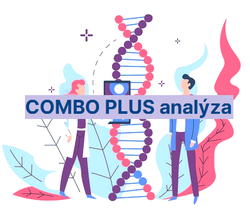 COMBO PLUS analýza Y-chromozómu (Y-38) + mitochondriální DNA (HVR1+HVR2)