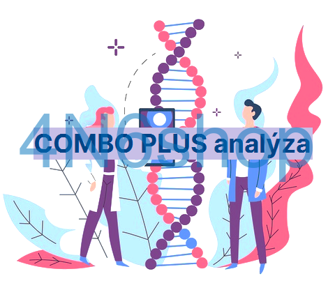 COMBO PLUS analýza Y-chromozómu (Y-38) + mitochondriální DNA (HVR1+HVR2)